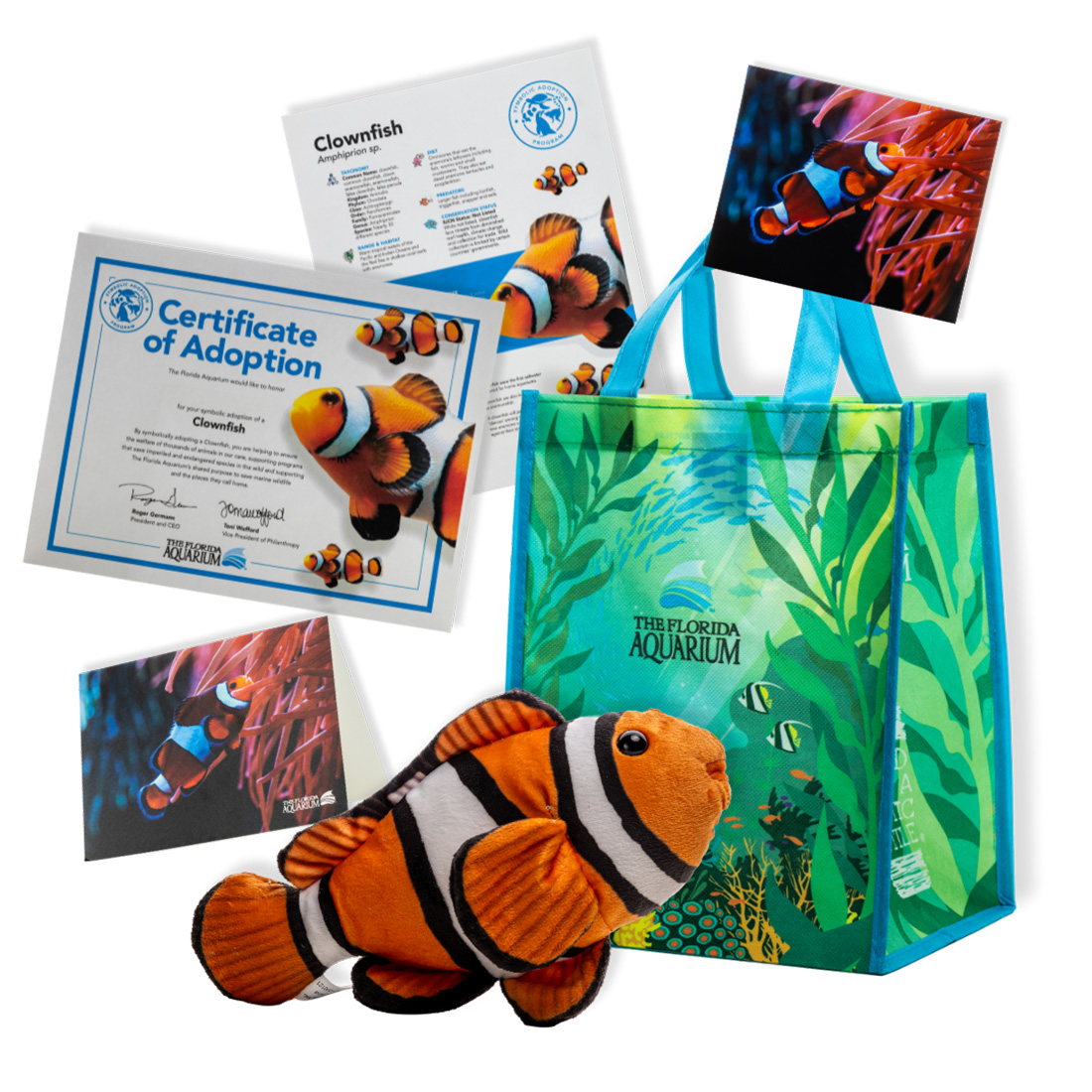 animal adopt clownfish package
