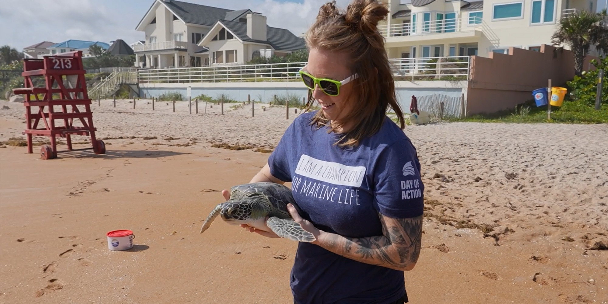 Sea Turtle being released by the Florida Aquarium Sea Turtle Rehab team.