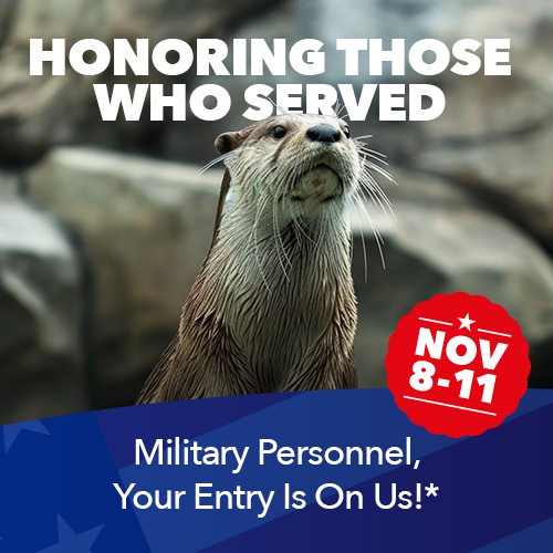 Veterans Day promotion from November 8-11 at the Florida Aquarium.