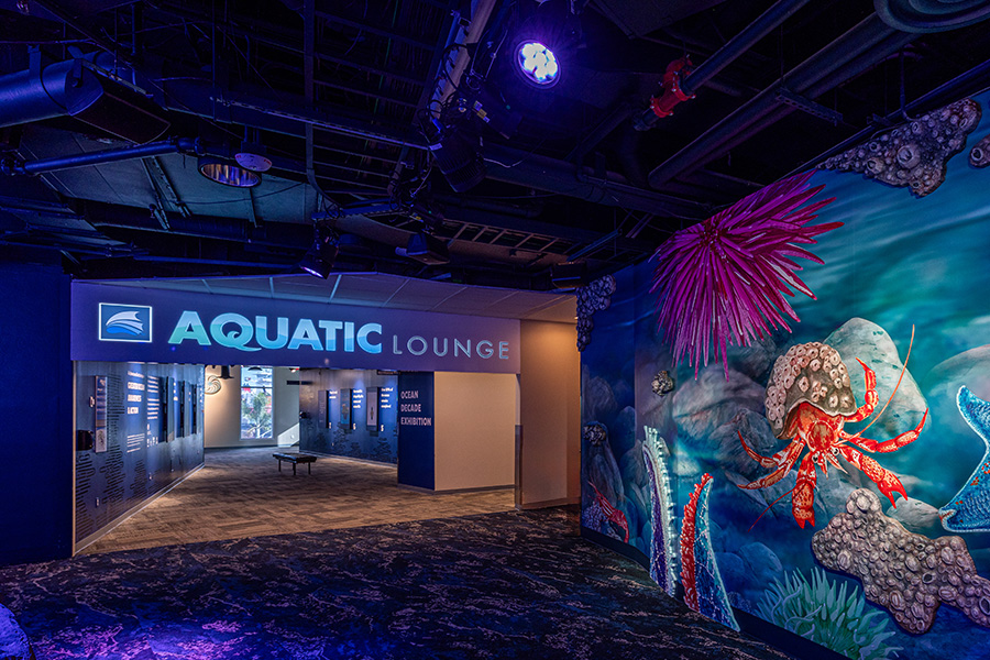 The Florida Aquarium Aquatic Lounge and Ocean Decade exhibit