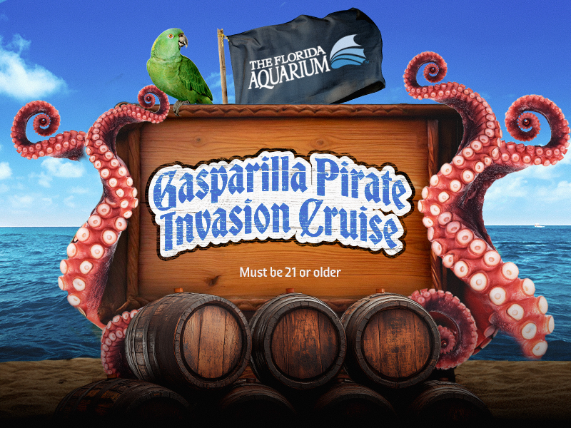 Gasparilla Boat Parade with the Florida Aquarium