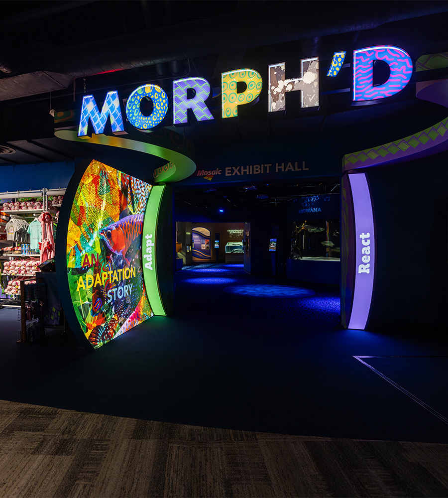 The Florida Aquarium Mosaic Exhibit Hall featuring MORPH'D