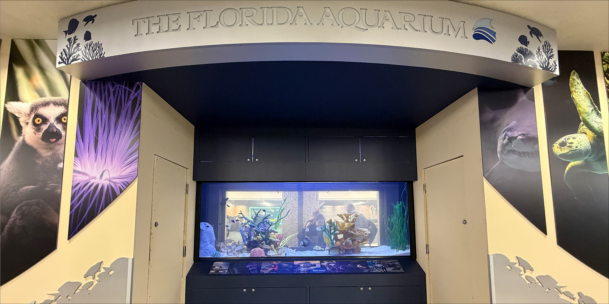 The Florida Aquarium habitats at the TPA airport