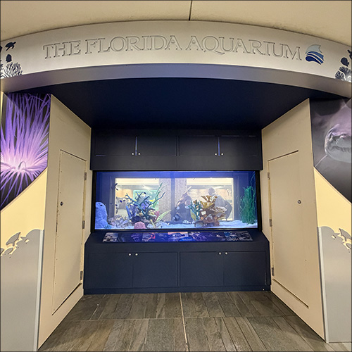 The Florida Aquarium habitats at the TPA airport