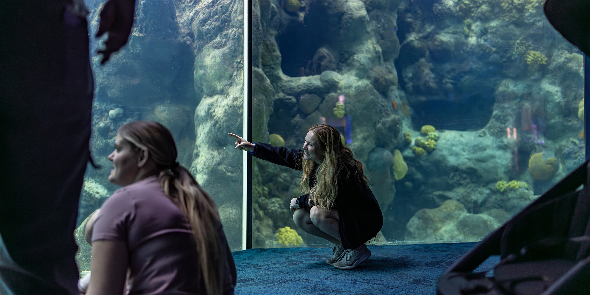 Volunteer pointing at a fish while interacting with a guest at the Florida Aquarium.