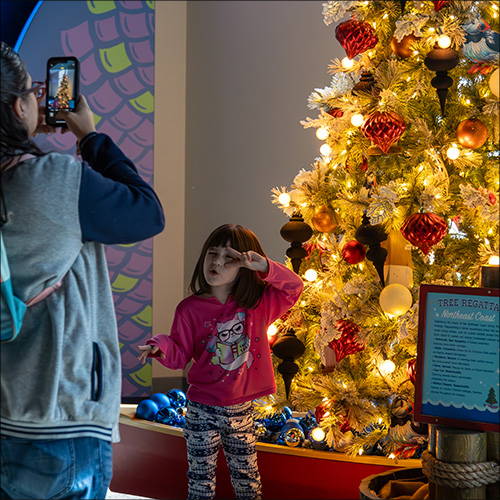 Little Girl at yuletides taking a photo with a tree