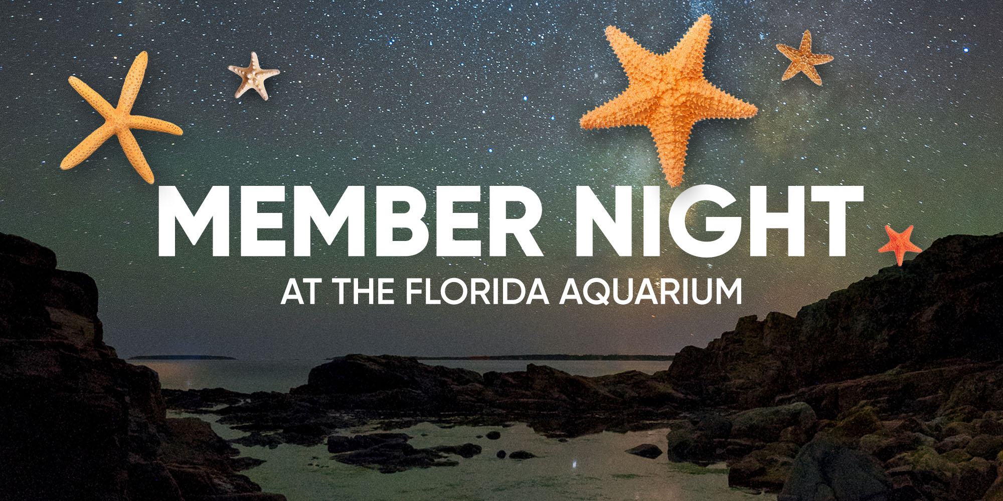 Member Night at The Florida Aquarium