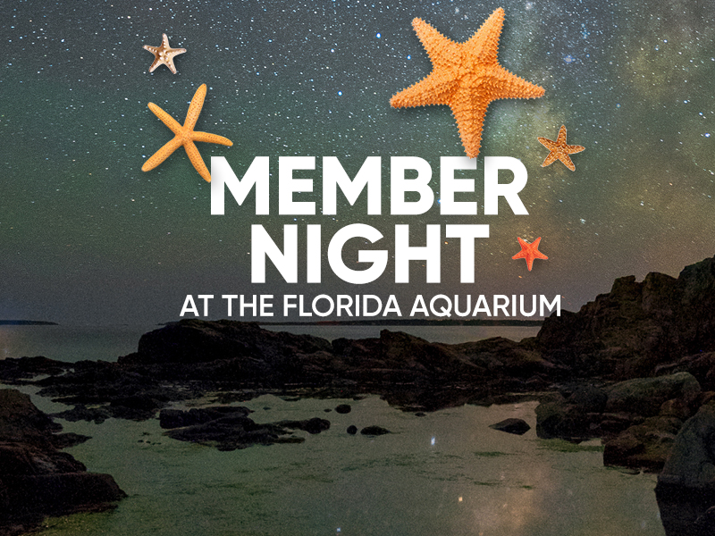 Member Night at The Florida Aquarium