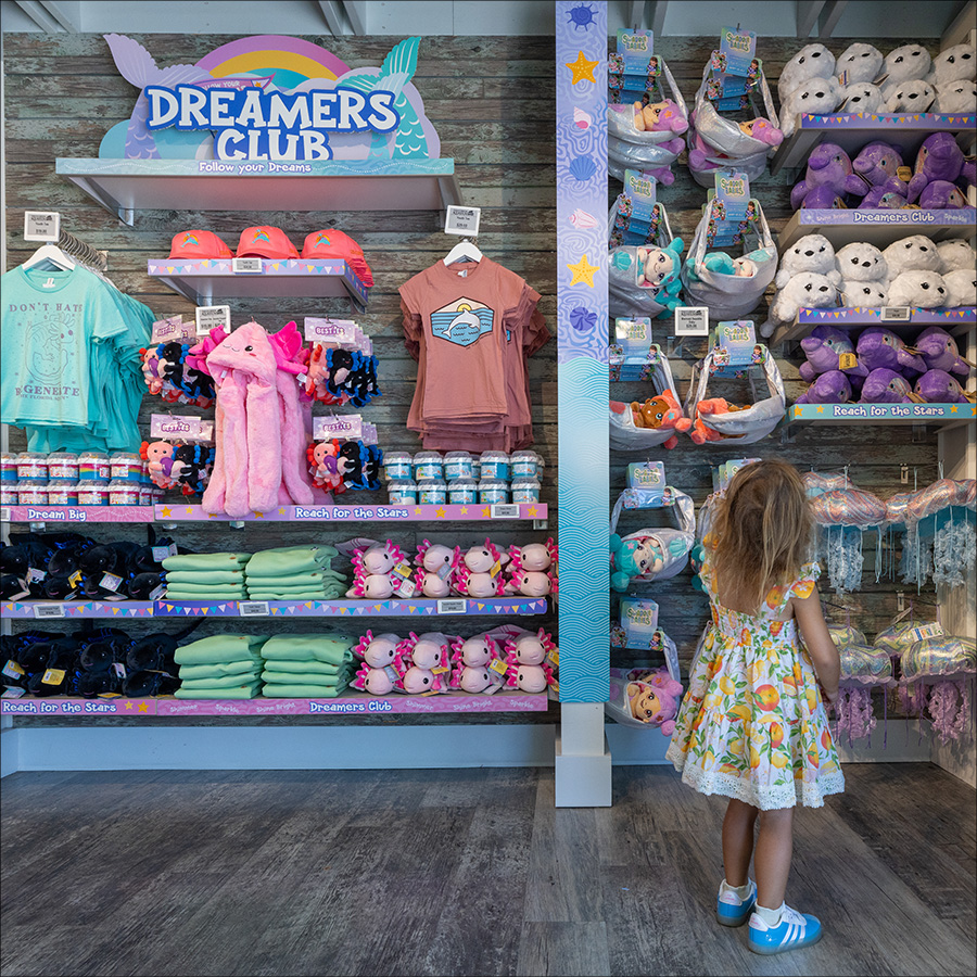 Little girl looking at gift shop