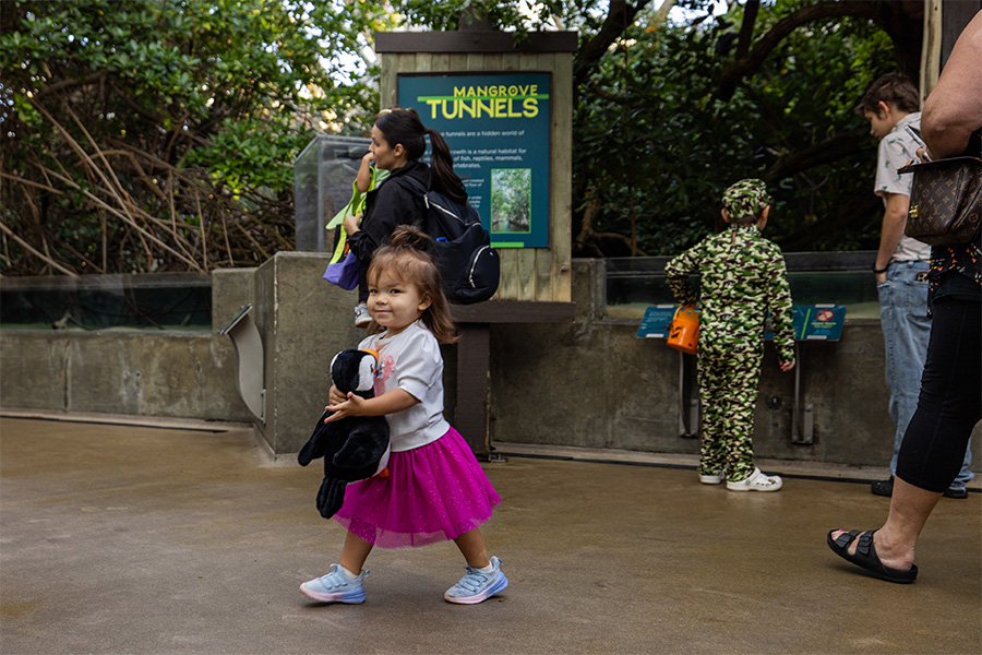 Little girl walking in the wetlands with puffin stuffie