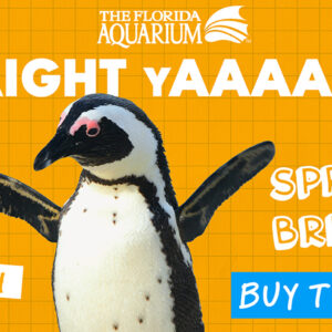 Spring Break at The Florida Aquarium