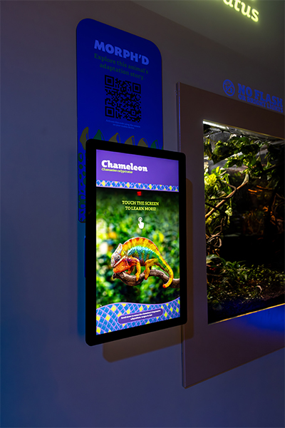 Digital graphic for Chameleon habitat