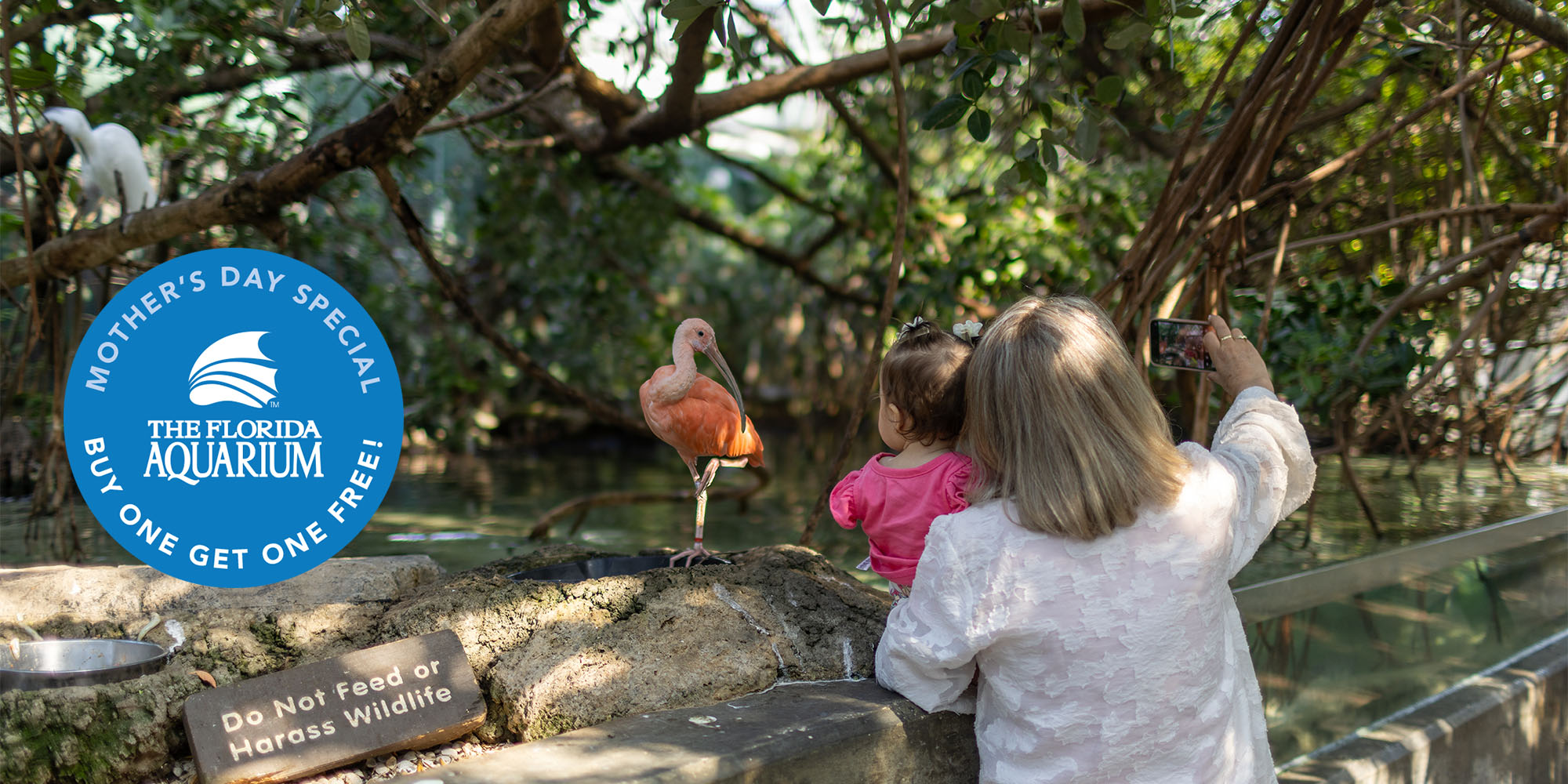 Woman holding toddler girl taking photo with camera in Wetlands with scarlet ibis in the background at The Florida Aquarium