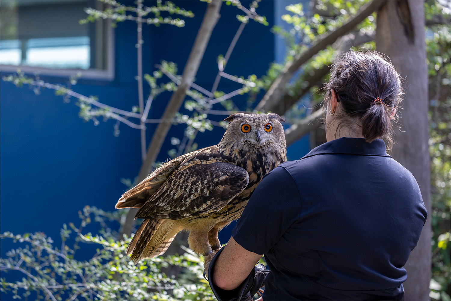 Female animal care employee of The Florida Aquarium wearing a black shirt