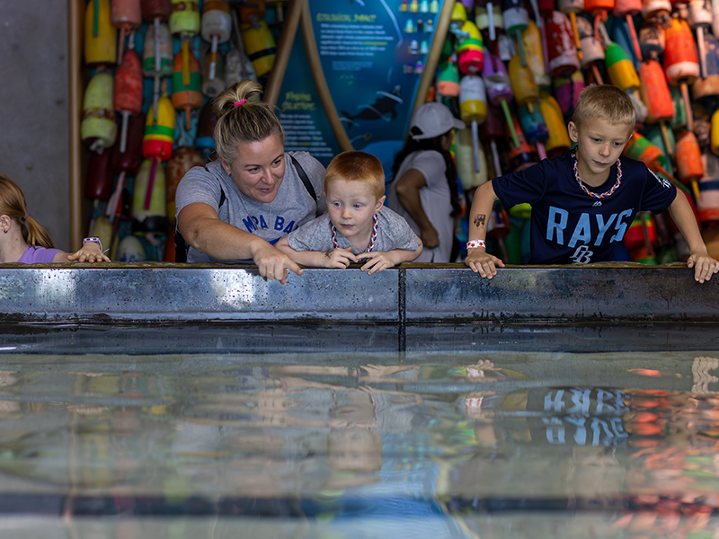 Mom pointing at stingrays in the water to her sons at Stingray Beach at The Florida Aquarium in Tampa, FL
