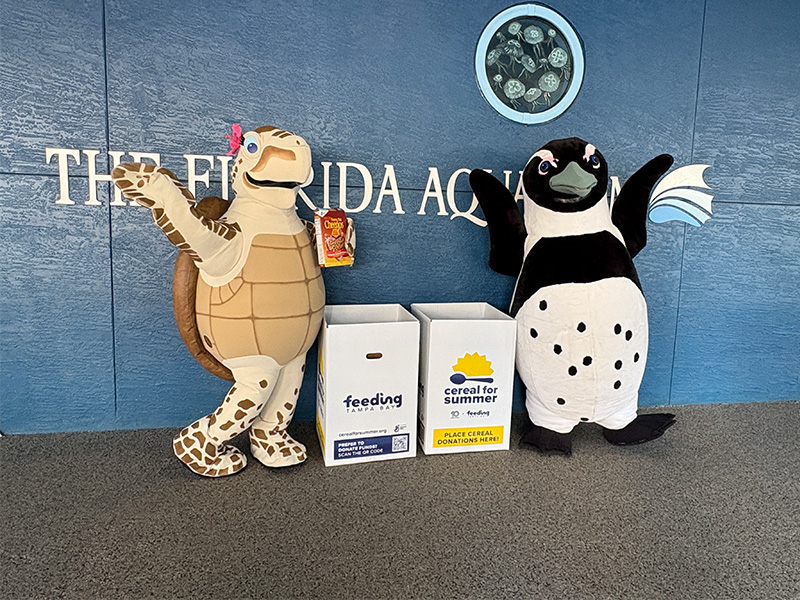 The Florida Aquarium Costume characters Tango the loggerhead turtle and Rocky the African penguin stand next to collection boxes for Feeding Tampa Bay's Cereal for Summer program outside of The Florida Aquarium in Tampa, FL.