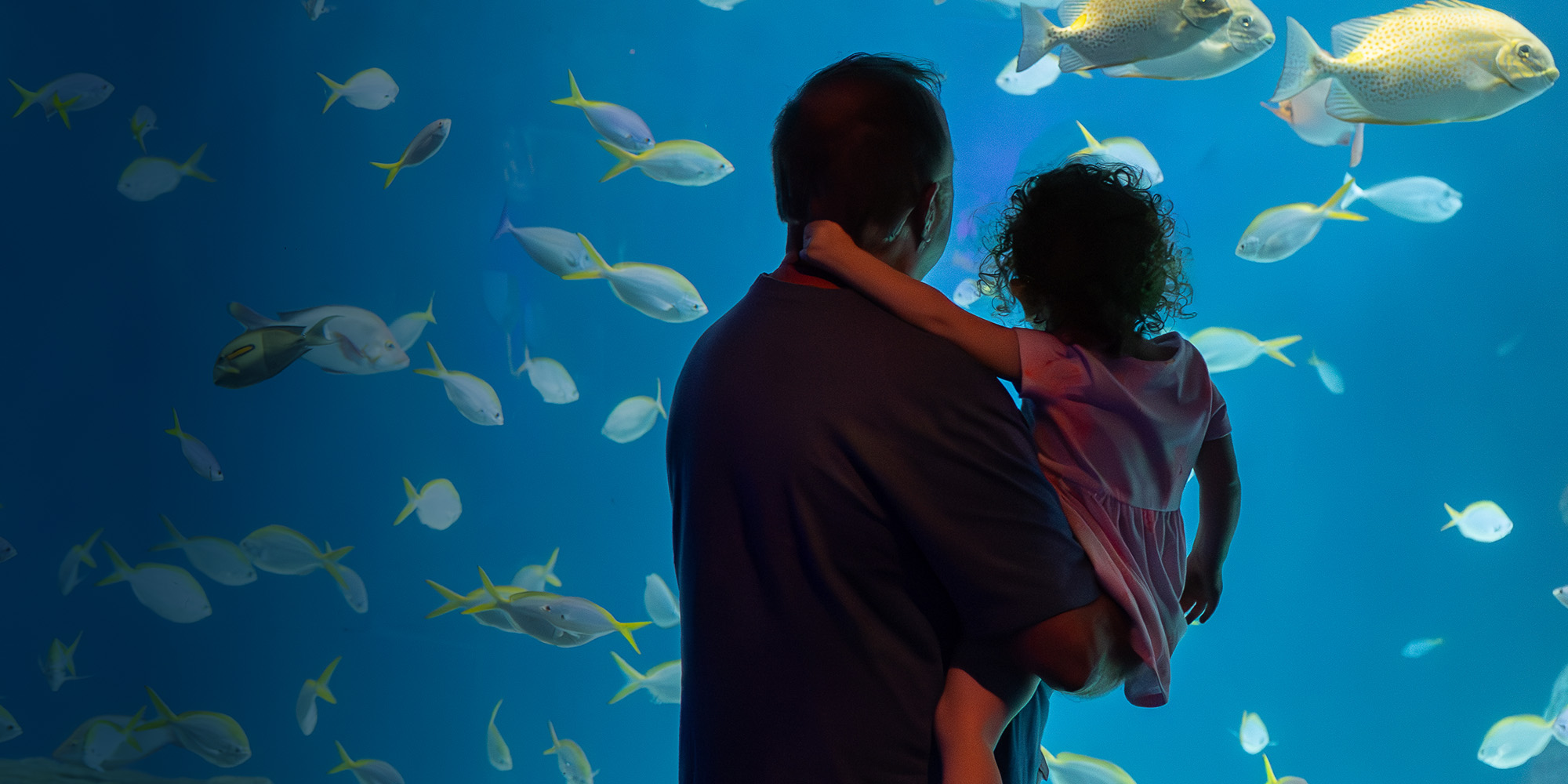 Father holding daughter in front of Heart of the Sea habitat at The Florida Aquarium