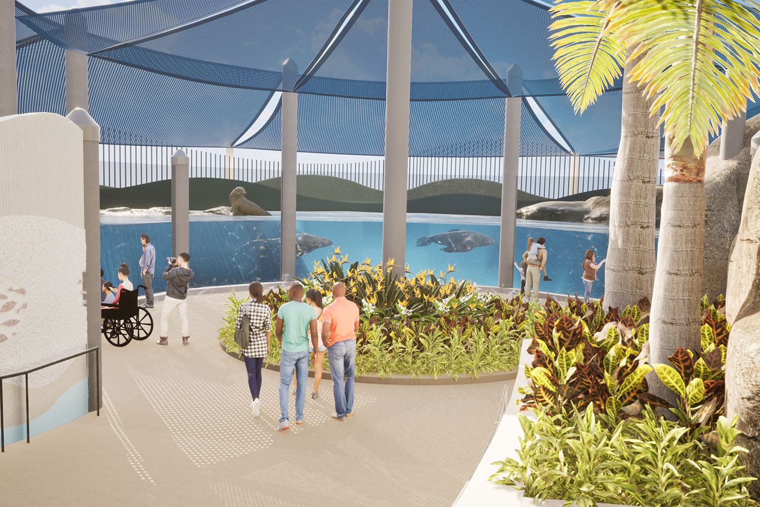 architectural rendering of people looking at sea lions at an outdoor habitat at The Florida Aquarium