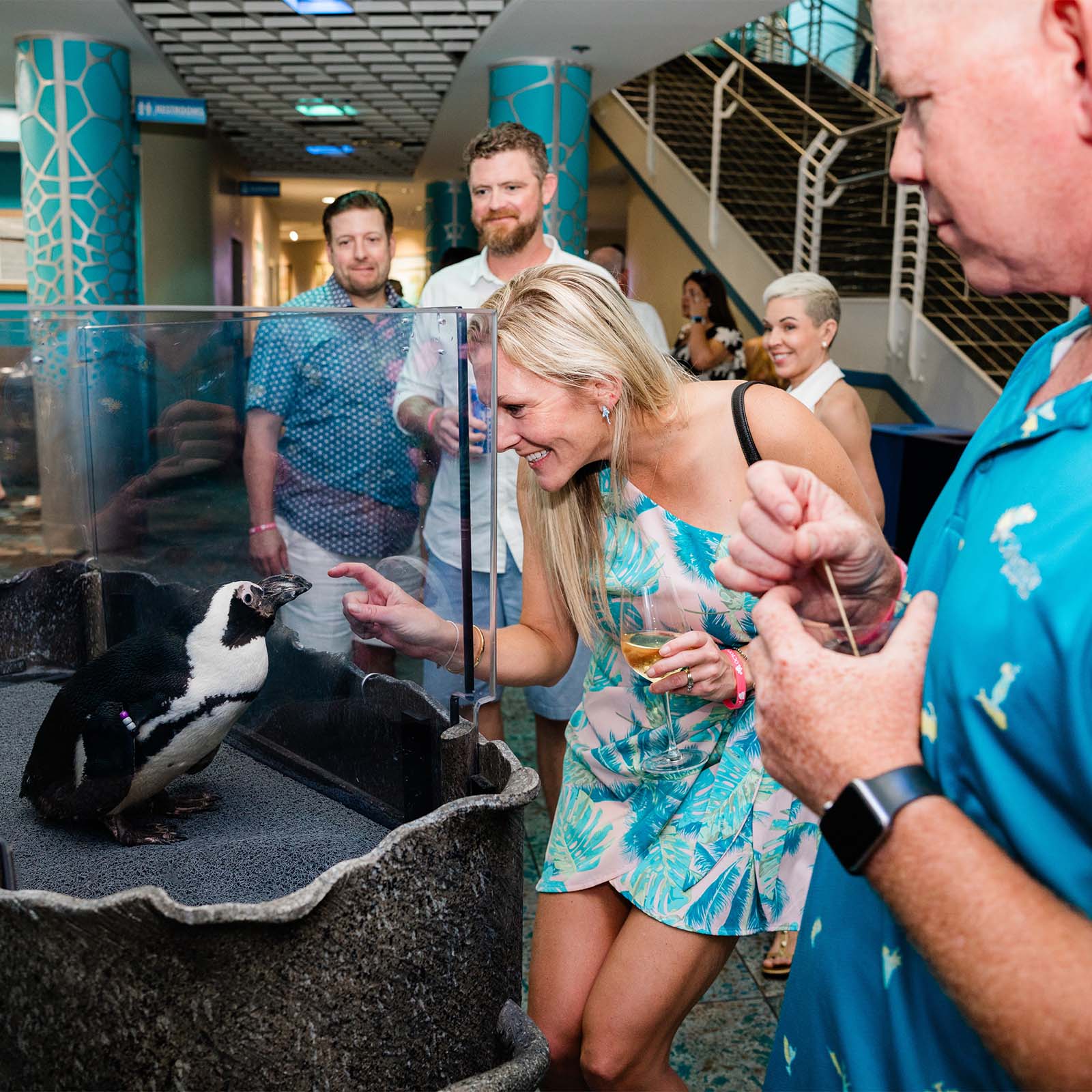 Woman pointing at an African penguin in the lobby during the World Ocean Day Soiree benefitting The Florida Aquarium