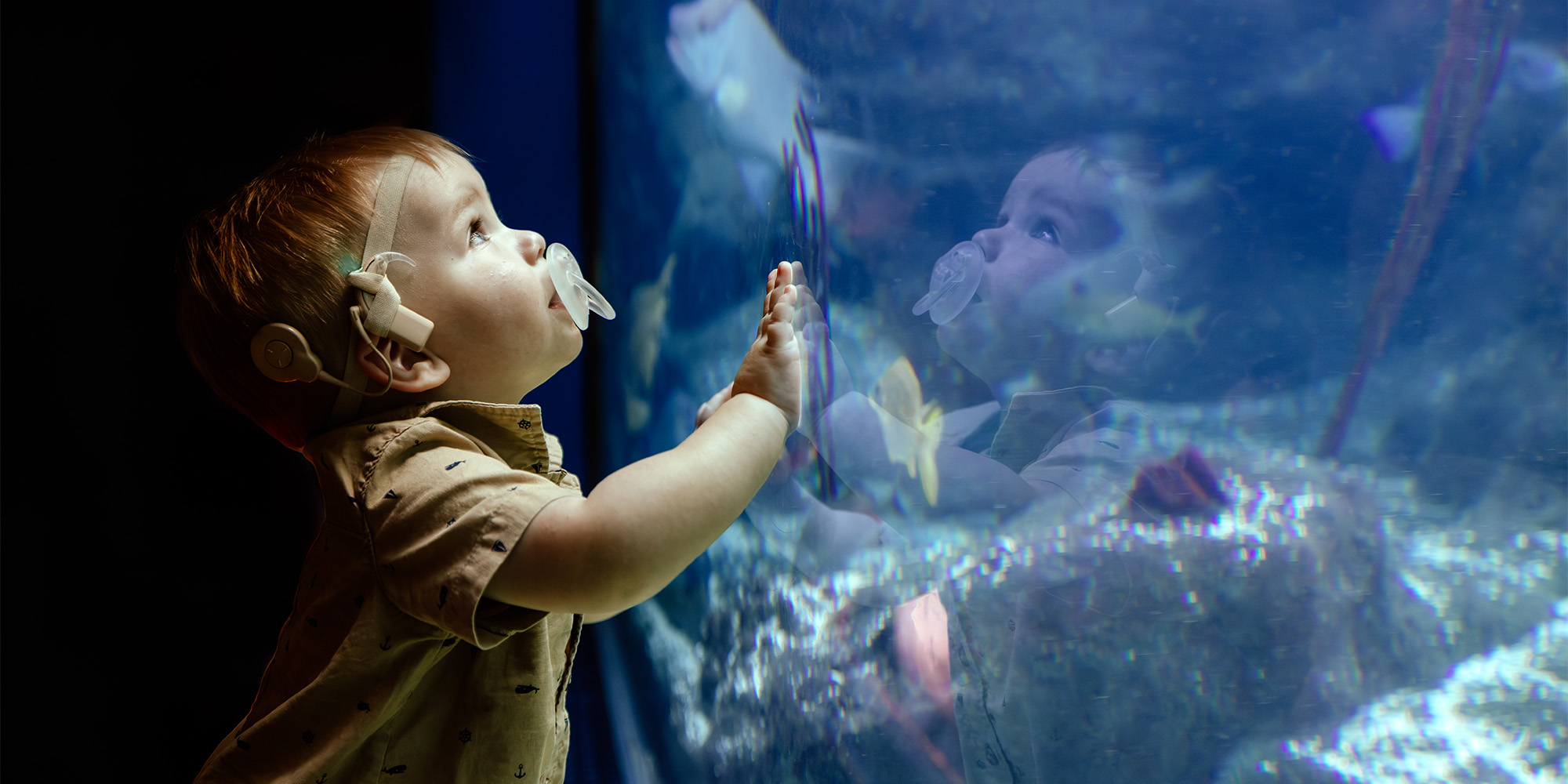 baby wearing hearing aides looking at fish at The Florida Aquarium