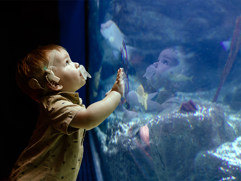 baby wearing hearing aides looking at fish at The Florida Aquarium