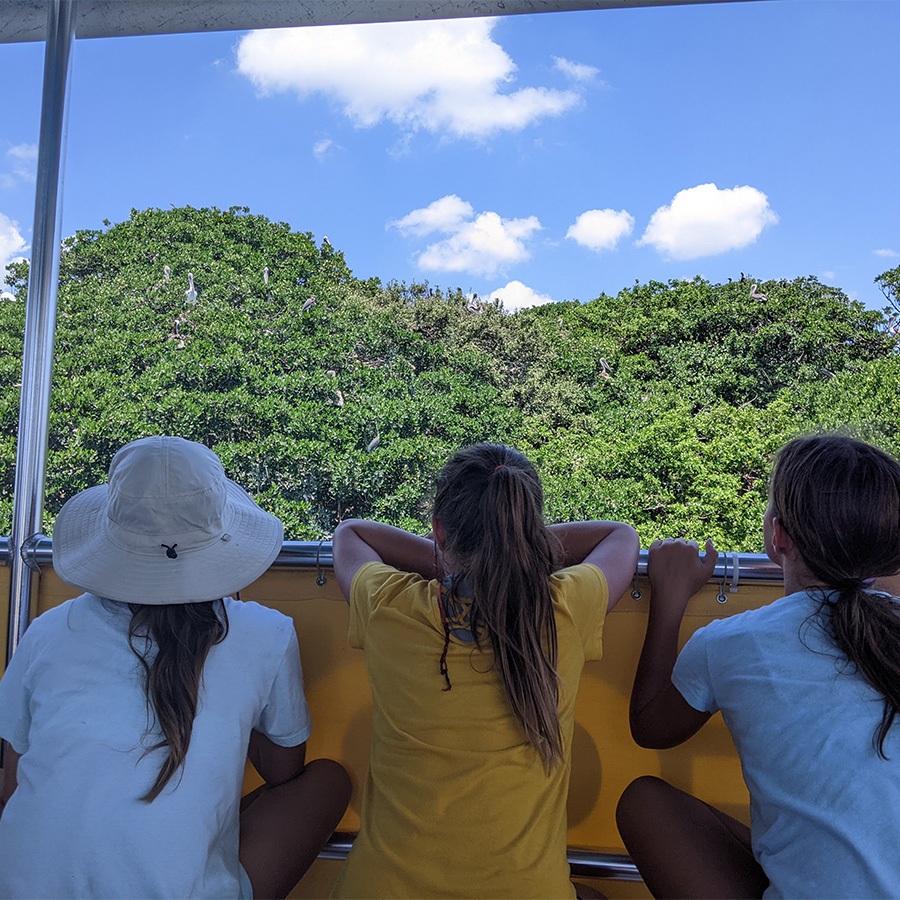 Three young girls looking out at the trees