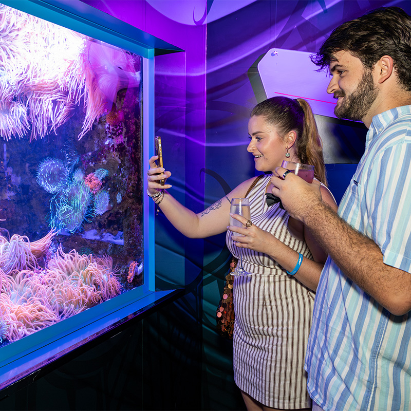 Couple looking at clownfish holding drinks while woman takes a photo with her phone