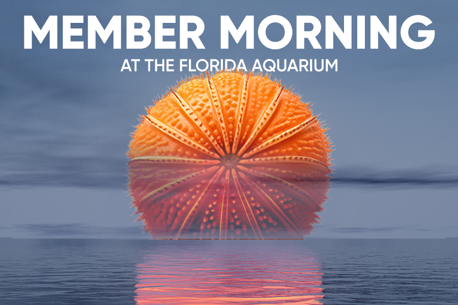 The Florida Aquarium Member Morning graphic