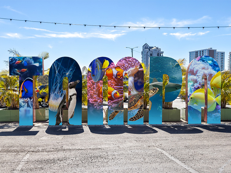 Tampa Sign at Sparkman Wharf in Downtown Tampa