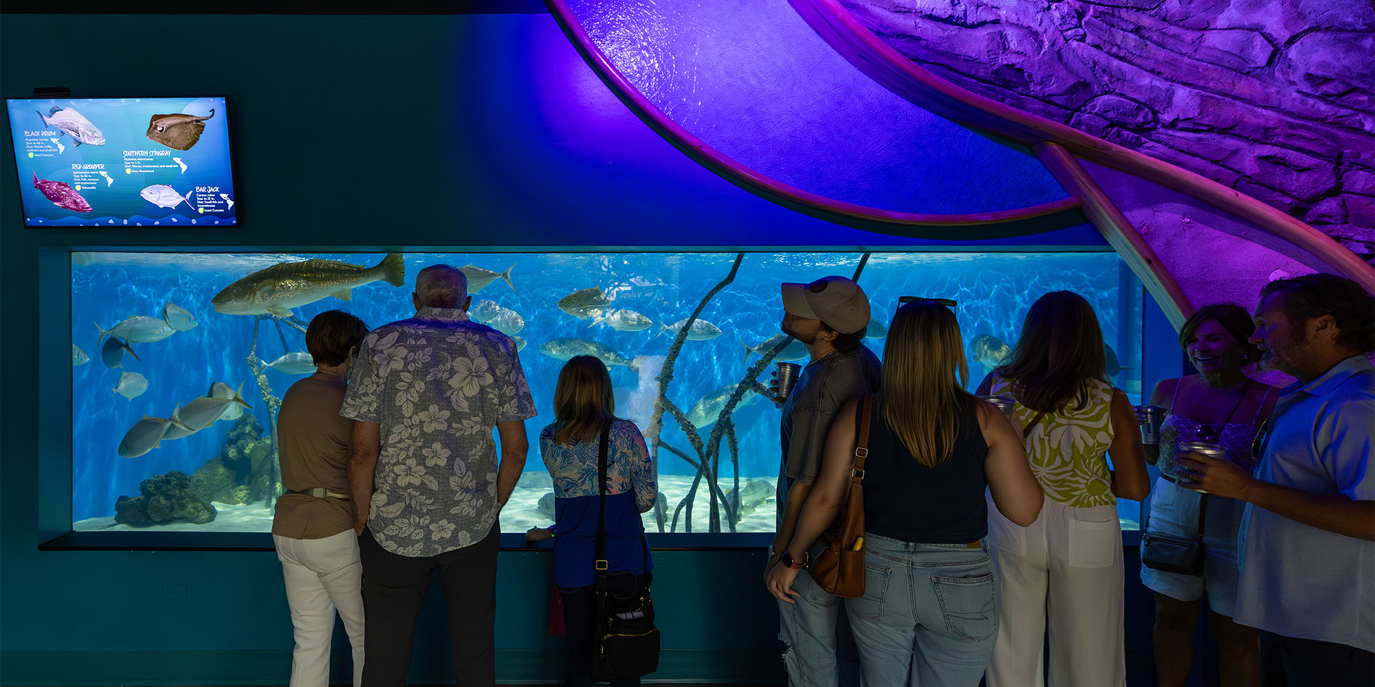 Adults enjoying the Aquarium