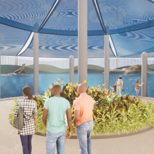 architectural rendering of people looking at sea lions at an outdoor habitat at The Florida Aquarium