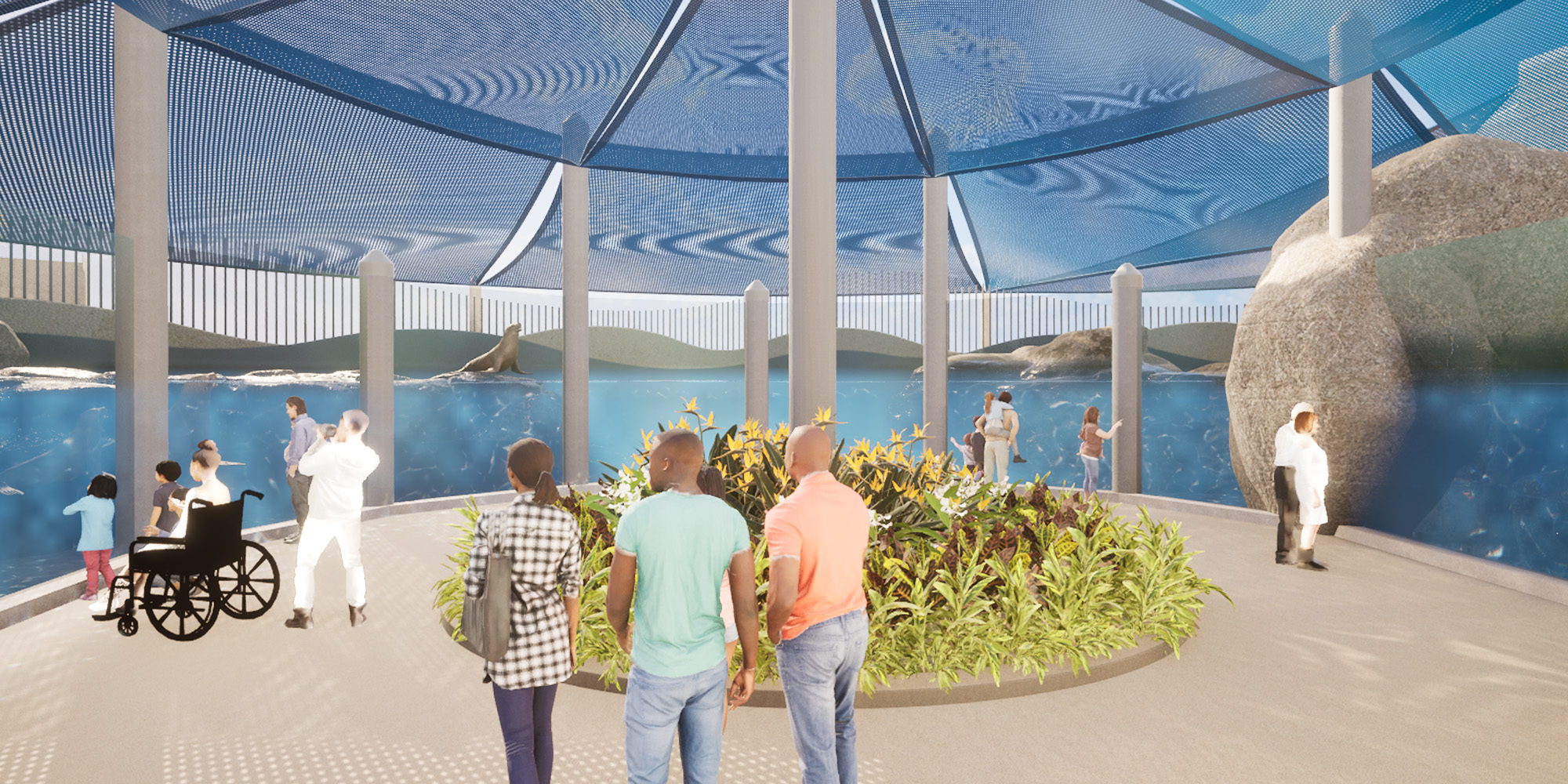 architectural rendering of people looking at sea lions at an outdoor habitat at The Florida Aquarium