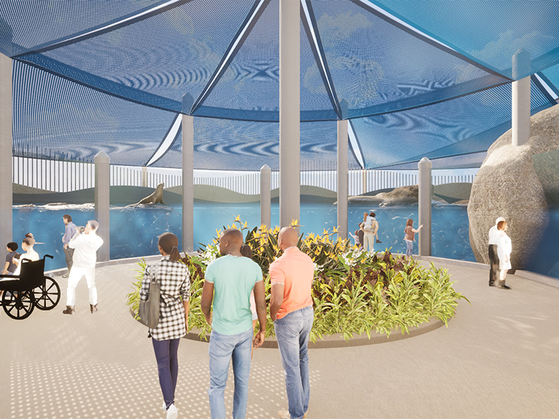 architectural rendering of people looking at sea lions at an outdoor habitat at The Florida Aquarium