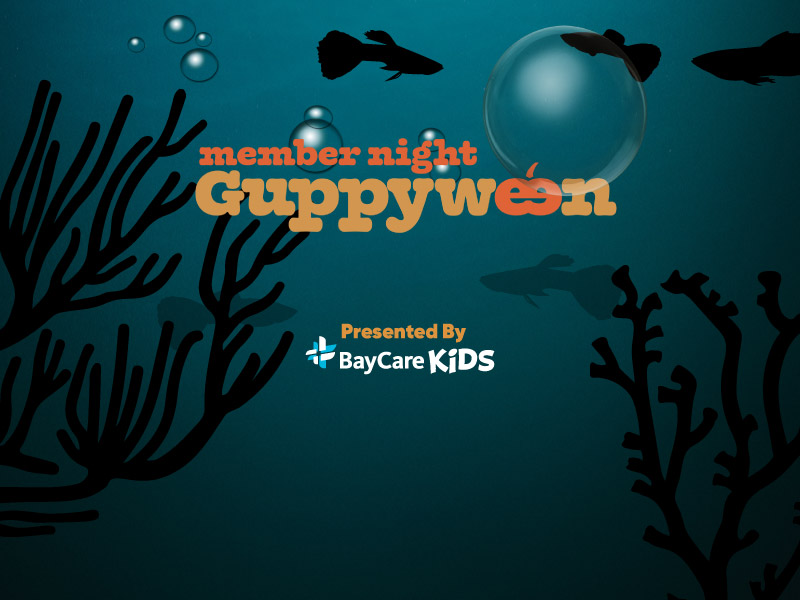 Guppyween Member Night